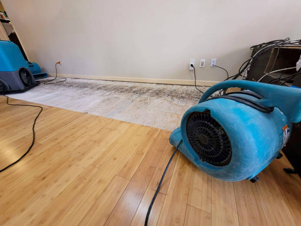 Professional Burst Pipe Water Damage technician working in Le Mars, IA